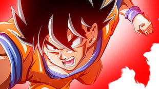 Dragon Ball Z Son Goku illustration HD wallpaper