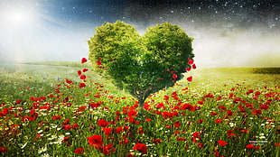 heart-shaped tree surrounded by red petaled flowers graphic wallpaper