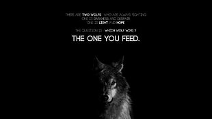 The One you Feed poster, quote