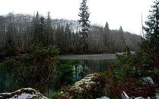 landscape photo of lake