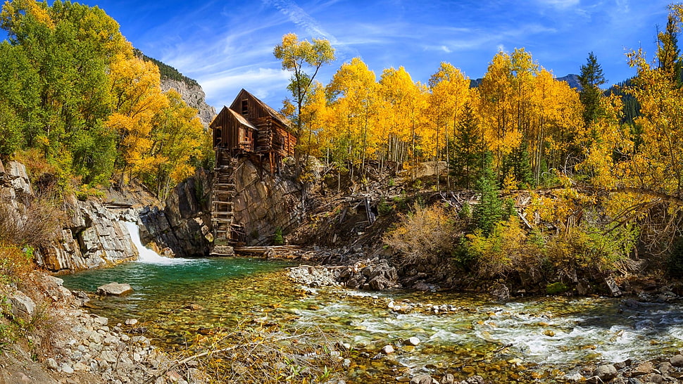 fall, nature, river, forest HD wallpaper