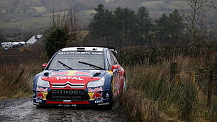 red Citroen rally car surrounded by grass