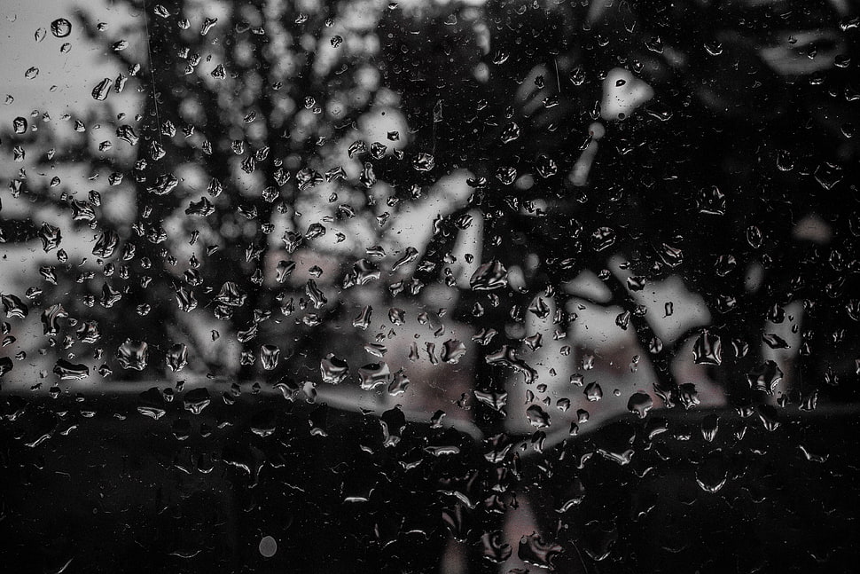 Drops,  Surface,  Bw HD wallpaper