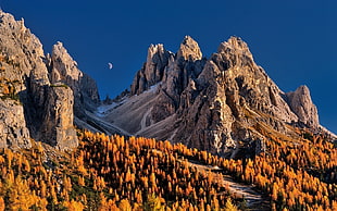 rock mountain and orange leaf trees, nature, landscape, Moon, blue HD wallpaper