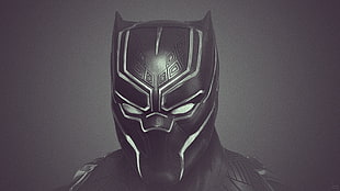 Black Panther illustration, Black Panther, panthers, black outfits, big cats