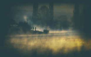 nature, photography, landscape, mist HD wallpaper