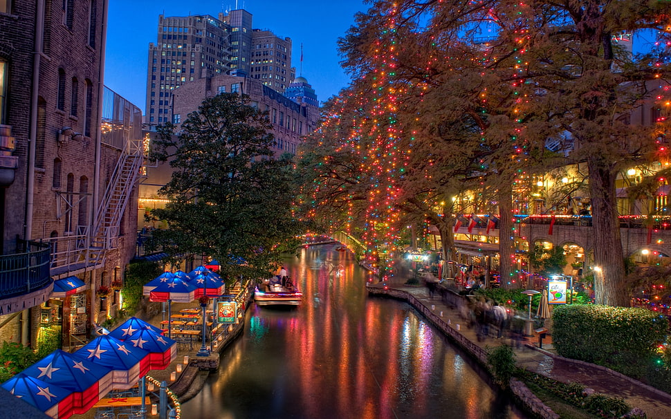 photography of river surrounded by high rise buildings trees with Christmas lights HD wallpaper