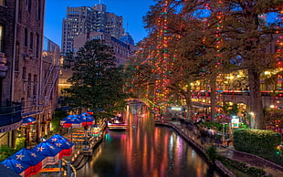 photography of river surrounded by high rise buildings trees with Christmas lights