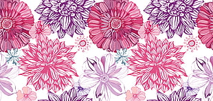 pink and purple flower artwork HD wallpaper