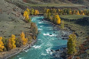 green river, landscape, nature, river, trees HD wallpaper