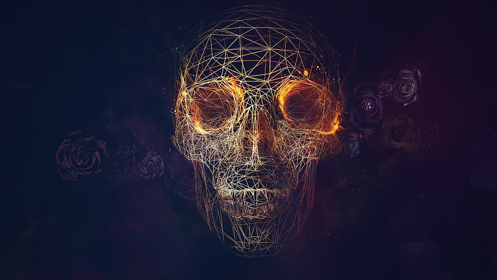 geometrical human skull wallpaper HD wallpaper