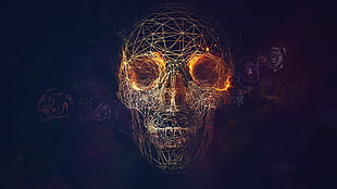 geometrical human skull wallpaper HD wallpaper
