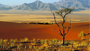 desert, nature, landscape, mountains HD wallpaper