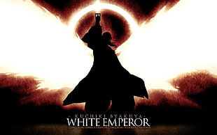 White Emperor DVD case, Bleach, sword, Kuchiki Byakuya, bankai HD wallpaper