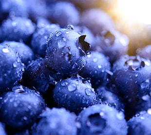 blueberries, Blueberries, Macro, HD HD wallpaper