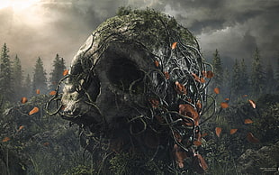 grey skull digital wallpaper, digital art, artwork, trees, plants