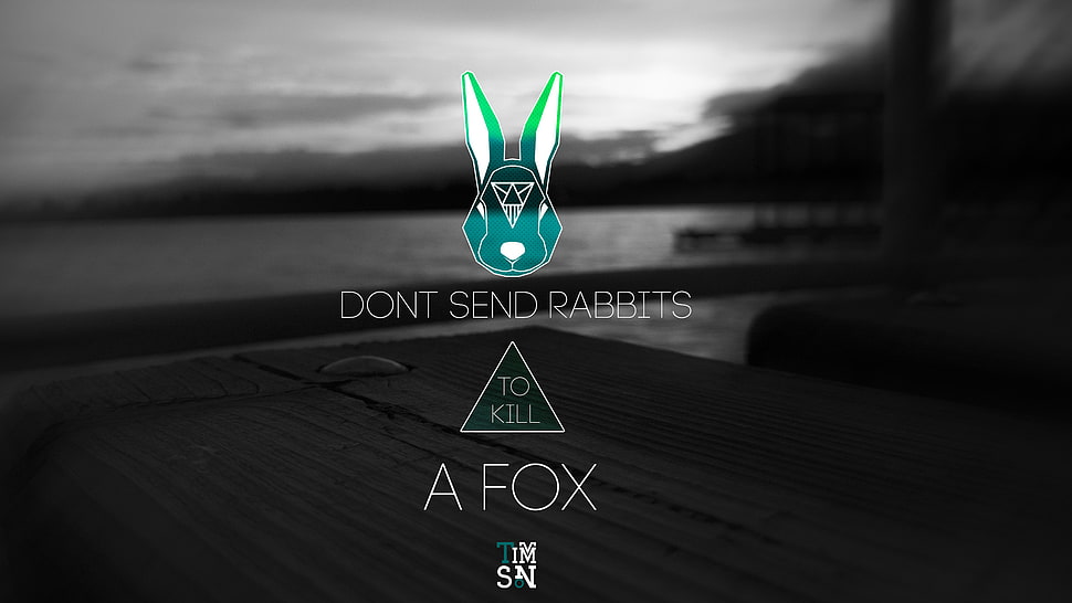 A Fox logo, quote, dark, monochrome HD wallpaper