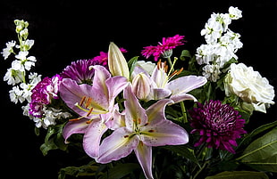 photo of assorted colored flowers
