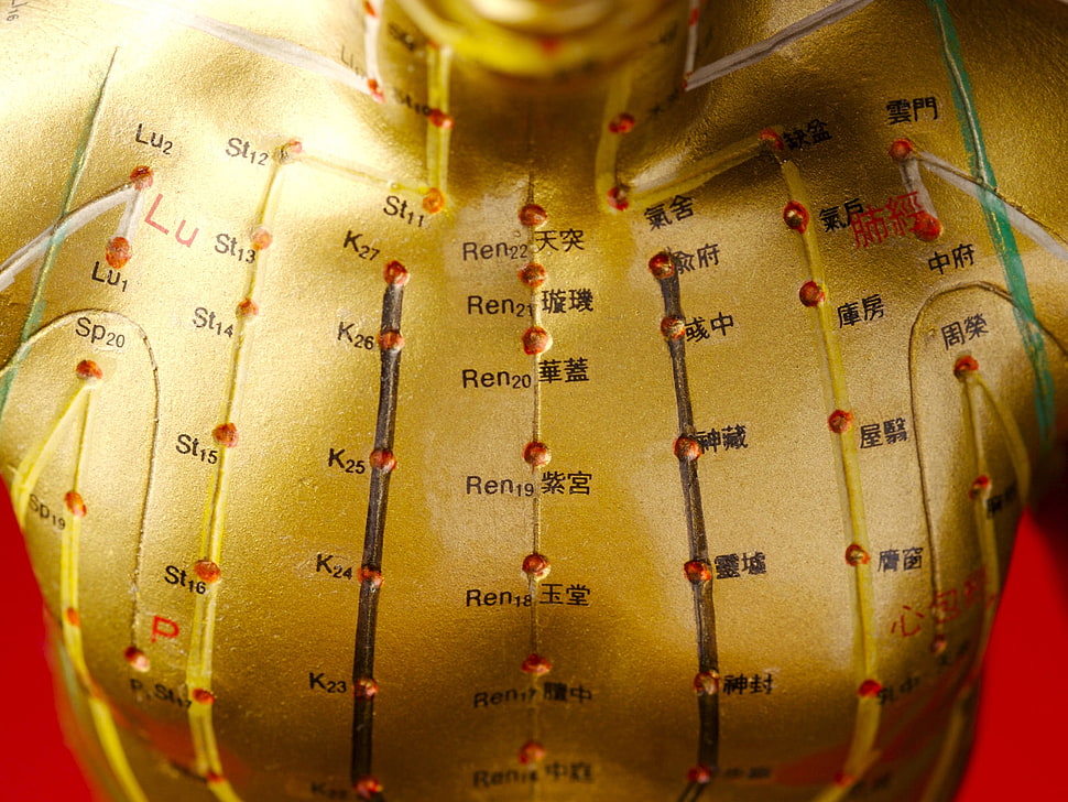 Robot,  Body,  China,  Study HD wallpaper