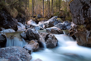 time lapse photography of stream next to tall trees HD wallpaper