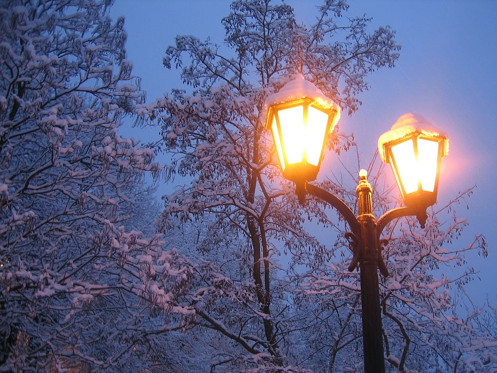 lighted 2-light street post at night HD wallpaper