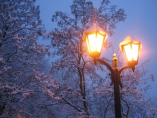 lighted 2-light street post at night