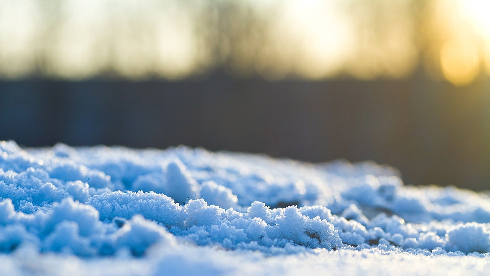 snow wallpaper HD wallpaper
