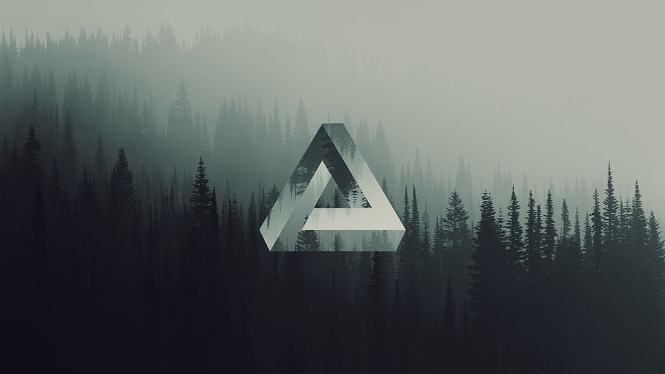Palace logo HD wallpaper