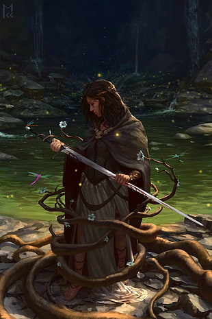 game cover, fantasy art, warrior