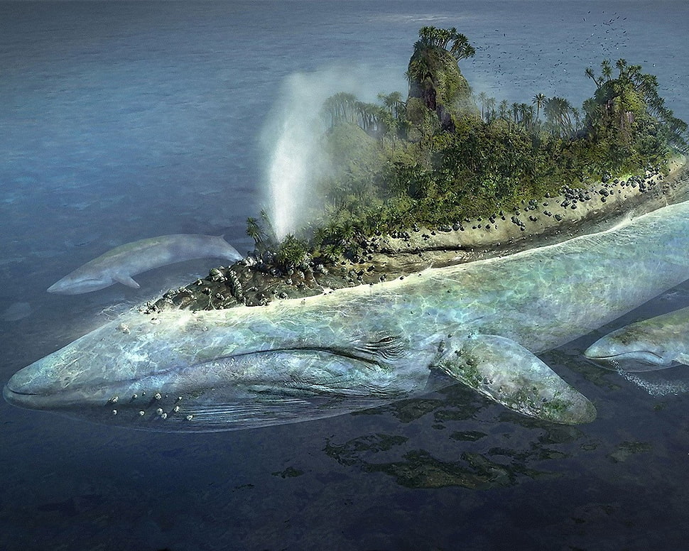 blue and green whale island HD wallpaper