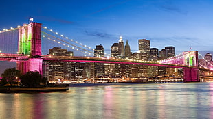 brown and white concrete building, USA, New York City, bridge, Brooklyn Bridge HD wallpaper