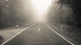black road, monochrome, road, mist, landscape
