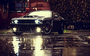 black coupe, Dodge Challenger, car, rain, puddle