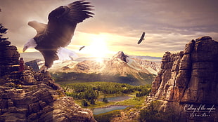 brown eagle wallpaper, eagle, animals, digital art, sky