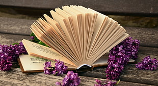 brown cover book, books, flowers