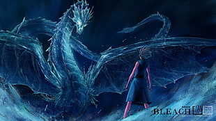 Bleach game cover, Bleach, Hitsugaya Toshiro, dragon, ice