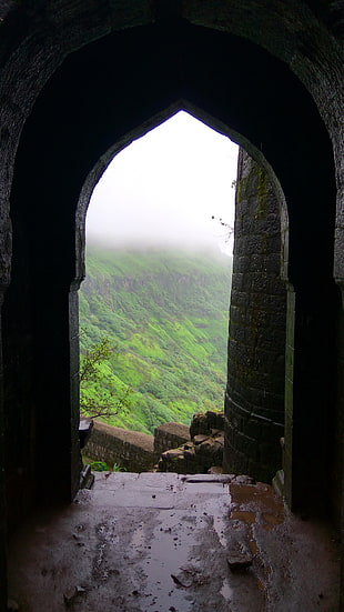 gray concrete pillar, fort, nature, rain, green