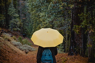 yellow umbrella, Umbrella, Person, Walk
