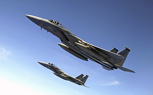gray air crafts, airplane, McDonnell Douglas F-15 Eagle, military