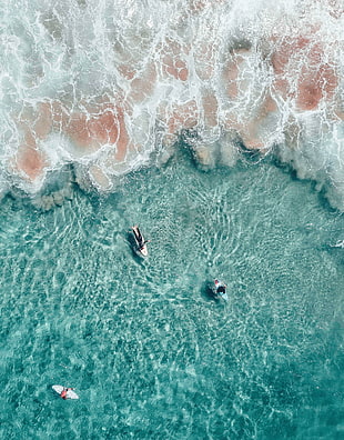 birds eye vie of three person riding surfboard on near the ocean wave