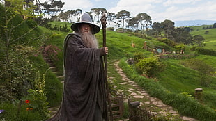 Gandalf from The Lord of The Rings, The Lord of the Rings, Gandalf, The Shire, wizard HD wallpaper