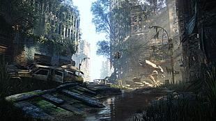 wrecked vehicle near building ruins digital wallpaper, science fiction, Crysis 3, sun rays