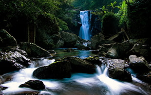 plunge waterfalls, nature HD wallpaper