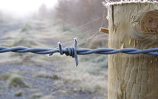 closeup photography of gray barb wire beside brown wooden post