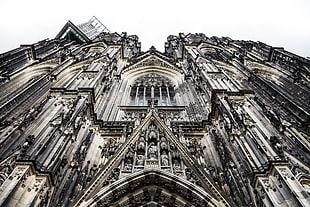 gray and white concrete cathedral
