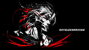 Metal Gear Rising wallpaper, Raiden, Metal Gear Rising: Revengeance, video games HD wallpaper