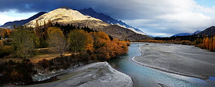 landscape photography of trees near river and mountain, shotover river, otago