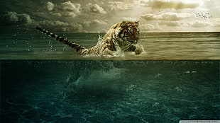 tiger in body of water digital wallpaper, tiger, animals, underwater, digital art