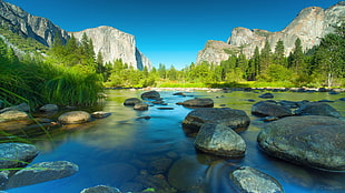 timelapse and landscape photography of river surrounded by trees, yosemite