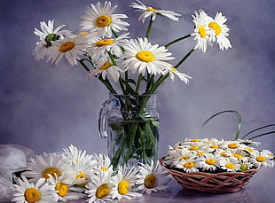 white Daisies with clear glass vase